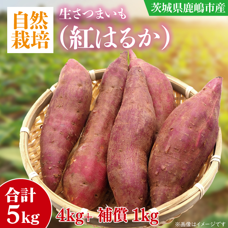 �y��錧�����s�z����s�\�񁚁y2026�N10�����{�`11�������܂ł̔����i�I�z�y���R�͔|�z�g�͂邩 �����܂���(4kg+��25%�⏞��)�@�v ��5kg �y�T�c�}�C�� �� ���� �ׂɂ͂邩 ���R�͔| �V�N �I�[�K�j�b�N �Ă��� �ϕ� �V�Ղ� �X�C�[�g�|�e�g �����s ��錧�z�iKAG-39�j