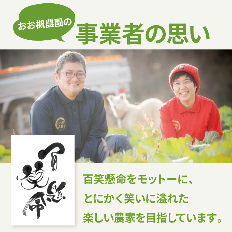 ★先行予約★【2026年10月中旬～11月末頃までの発送品！】【自然栽培】紅はるか 生さつまいも(8kg+約25%補償分)　計 約10kg【サツマイモ 芋 いも べにはるか 自然栽培 新鮮 オーガニック 焼き芋 煮物 天ぷら スイートポテト 鹿嶋市 茨城県 】（KAG-40）