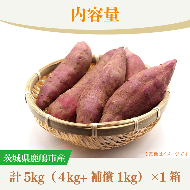 ★先行予約★【2026年10月中旬～11月末頃までの発送品！】【普通栽培】紅はるか 生さつまいも(4kg+約25%補償分)　計 約5kg【サツマイモ 芋 いも べにはるか 新鮮 焼き芋 煮物 天ぷら スイートポテト 鹿嶋市 茨城県】（KAG-41）