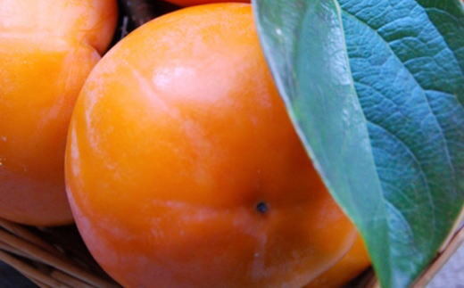 【先行予約】[甘柿の王様]  富有柿 約3.5kg サイズ混合 和歌山県産｜かき フルーツ 柿 果物 くだもの 和歌山県産