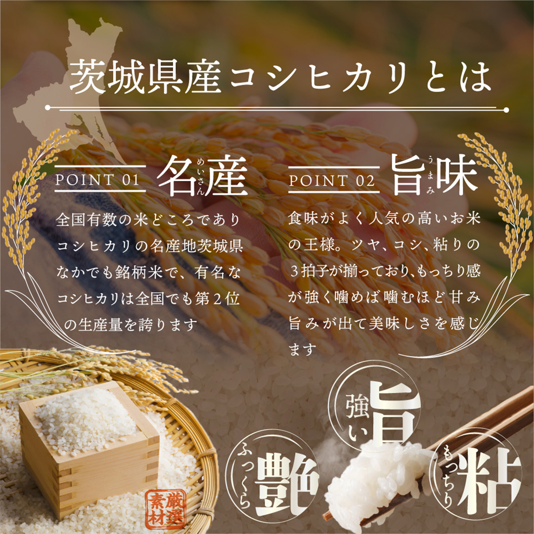 茨城県つくばみらい市のふるさと納税 ＼ 令和7年産 ／【 お試しサイズ 】 茨城県産 コシヒカリ 150g (150g×1袋) お試し ♪ 1合 五つ星お米マイスター監修 寄附額 1000円 ポッキリ 米 精米 茨城 お米 おこめ ごはん 白米 米 茨城産  こしひかり[DW01-NT]