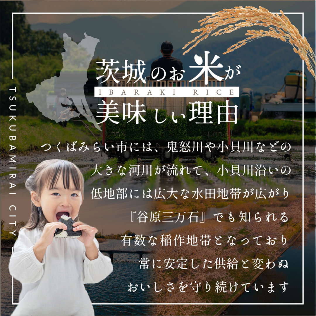 茨城県つくばみらい市のふるさと納税 ＼ 令和7年産 ／【 お試しサイズ 】 茨城県産 コシヒカリ 150g (150g×1袋) お試し ♪ 1合 五つ星お米マイスター監修 寄附額 1000円 ポッキリ 米 精米 茨城 お米 おこめ ごはん 白米 米 茨城産  こしひかり[DW01-NT]