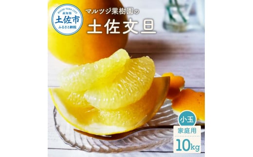 【高知県土佐市】マルツジ果樹園の土佐文旦 家庭用(小玉) 約10kg 10キロ M〜Lサイズ 24〜34個入り ぶんたん ブンタン フルーツ 柑橘 みかん 果物 くだもの 柑橘類 デザート お取り寄せ 国産