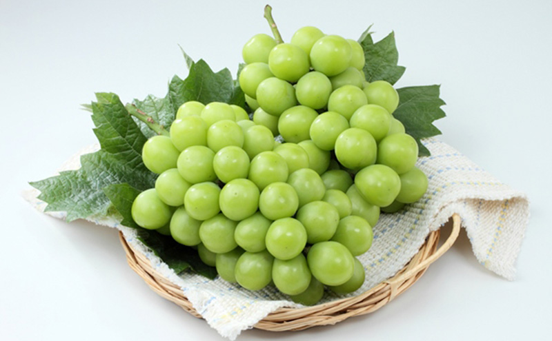 ぶどう 2026年 先行予約 シャインマスカット ＆ ニュー ピオーネ 各1房 約1.2kg ブドウ 葡萄 岡山県産 国産 フルーツ 果物 直送！せとうちバスケット