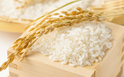 山形県南陽市のふるさと納税 【令和7年産】 JA 特別栽培米 つや姫 10kg (5kg×2袋) 『JA山形おきたま』 山形置賜産 米 精米 山形県 南陽市 [639]