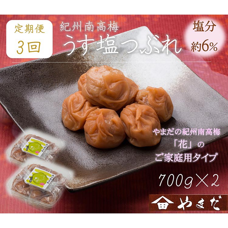 【定期便/3か月ごと/全3回】紀州南高梅うす塩つぶれ（塩分約6％）700g×2