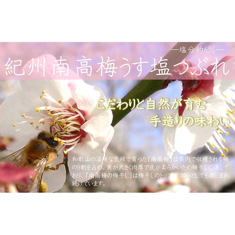 【定期便/3か月ごと/全3回】紀州南高梅うす塩つぶれ（塩分約6％）700g×2