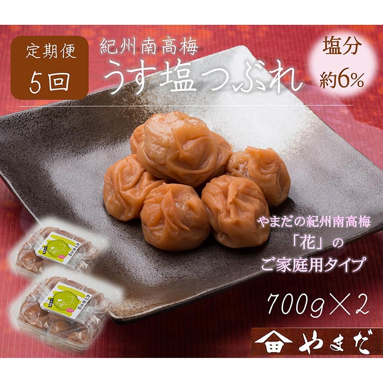 【和歌山県美浜町】【定期便/2か月ごと/全5回】紀州南高梅うす塩つぶれ(塩分約6%)700g×2