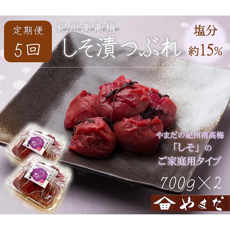 【和歌山県美浜町】【定期便/2か月ごと/全5回】紀州南高梅しそ漬つぶれ(塩分約15%)700g×2