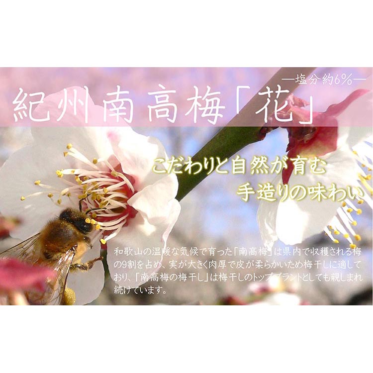 【定期便/3か月ごと/全3回】紀州南高梅「花」塩分約6％（850g）
