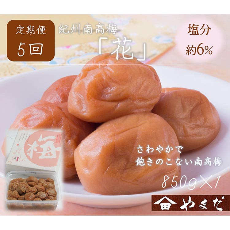 【和歌山県美浜町】【定期便/2か月ごと/全5回】紀州南高梅「花」塩分約6%(850g)