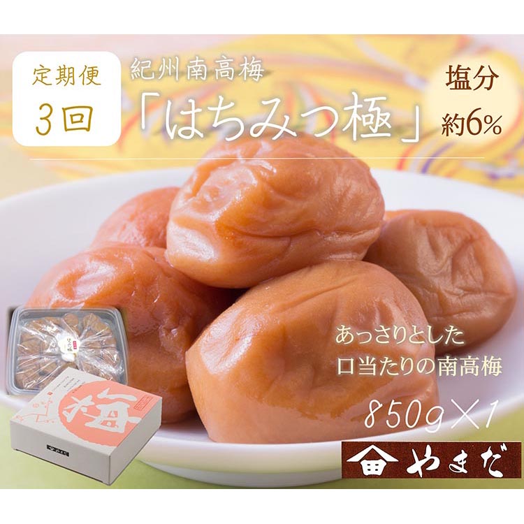 【定期便/3か月ごと/全3回】紀州南高梅はちみつ極塩分約6％（850g）