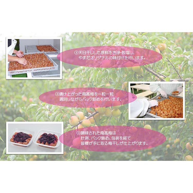 【定期便/2か月ごと/全5回】紀州南高梅しそプレミアム塩分約6％（850g）