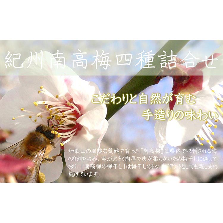 【定期便/3か月ごと/全3回】厳選紀州南高梅四種詰合せ