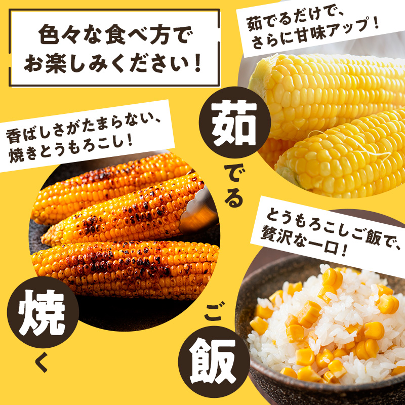 【来年度受付予約：2026年6月より発送】とうもろこし 農家直送！SDGs米糠堆肥で作った環境に優しいメロンより甘い 博多あまっコーン 4.5キロ以上 (10～15本) /酒見農産/トウモロコシ ※配送不可：離島
