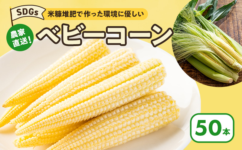 【来年度受付予約：2026年5月より発送】ベビーコーン 農家直送！SDGs米糠堆肥で作った環境に優しい ベビーコーン 50本 /酒見農産/ べびーこーん ※配送不可：離島