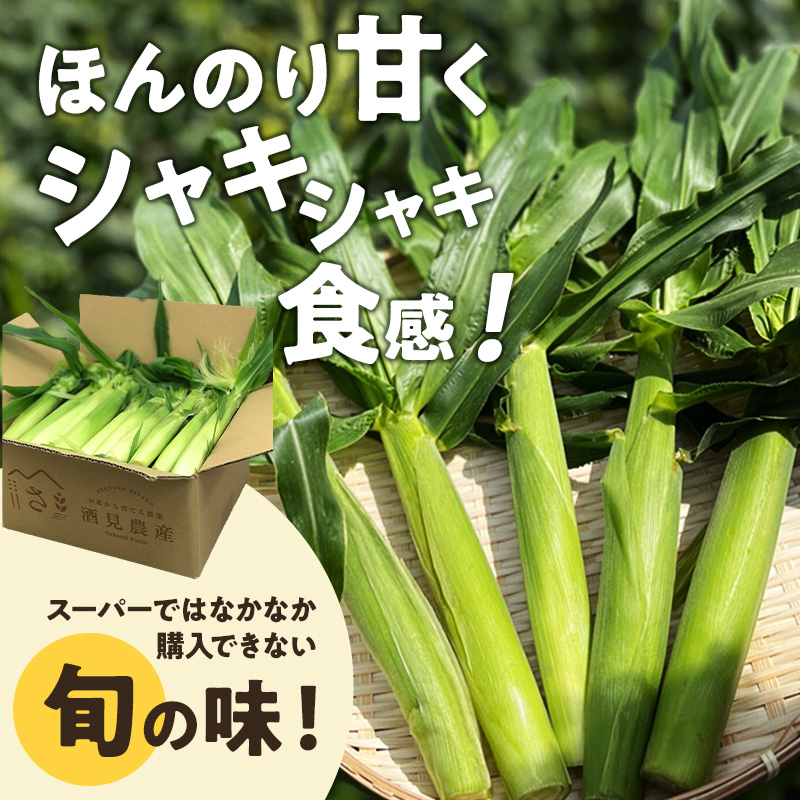 【来年度受付予約：2026年5月より発送】ベビーコーン 農家直送！SDGs米糠堆肥で作った環境に優しい ベビーコーン 50本 /酒見農産/ べびーこーん ※配送不可：離島