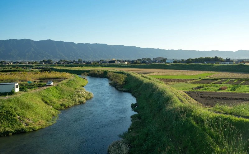 日本酒 清酒 筑後川 純米吟醸 1800ml 酒 お酒 アルコール