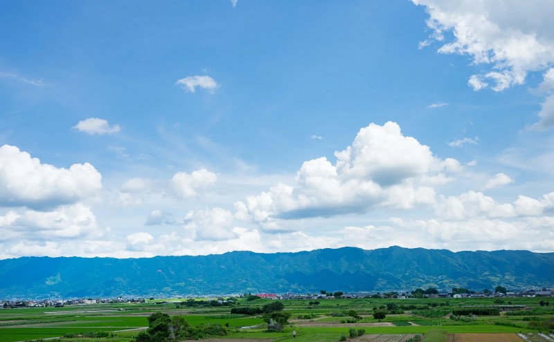 日本酒 飲み比べ 清酒 筑後川 甘口・辛口・旨口 3本×各720ml セット 酒 お酒 アルコール