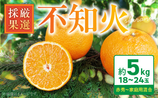 ya̎RLcS󒬁zBK6013__̕smΖ5kg(18`24ʁEỈʁj