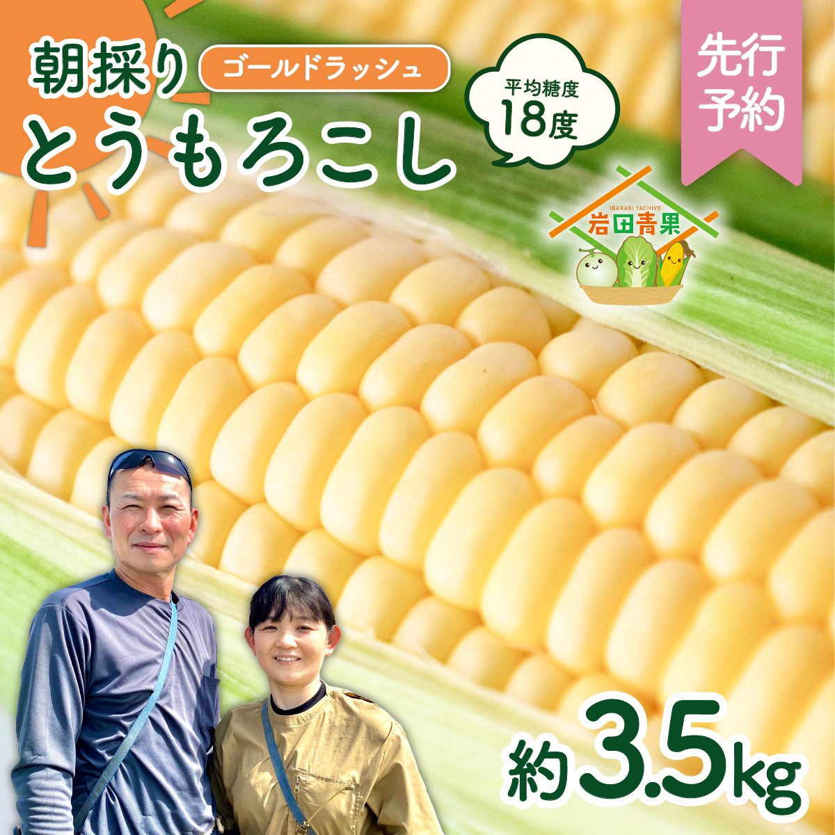 【先行予約 2026年6月中旬以降発送 】