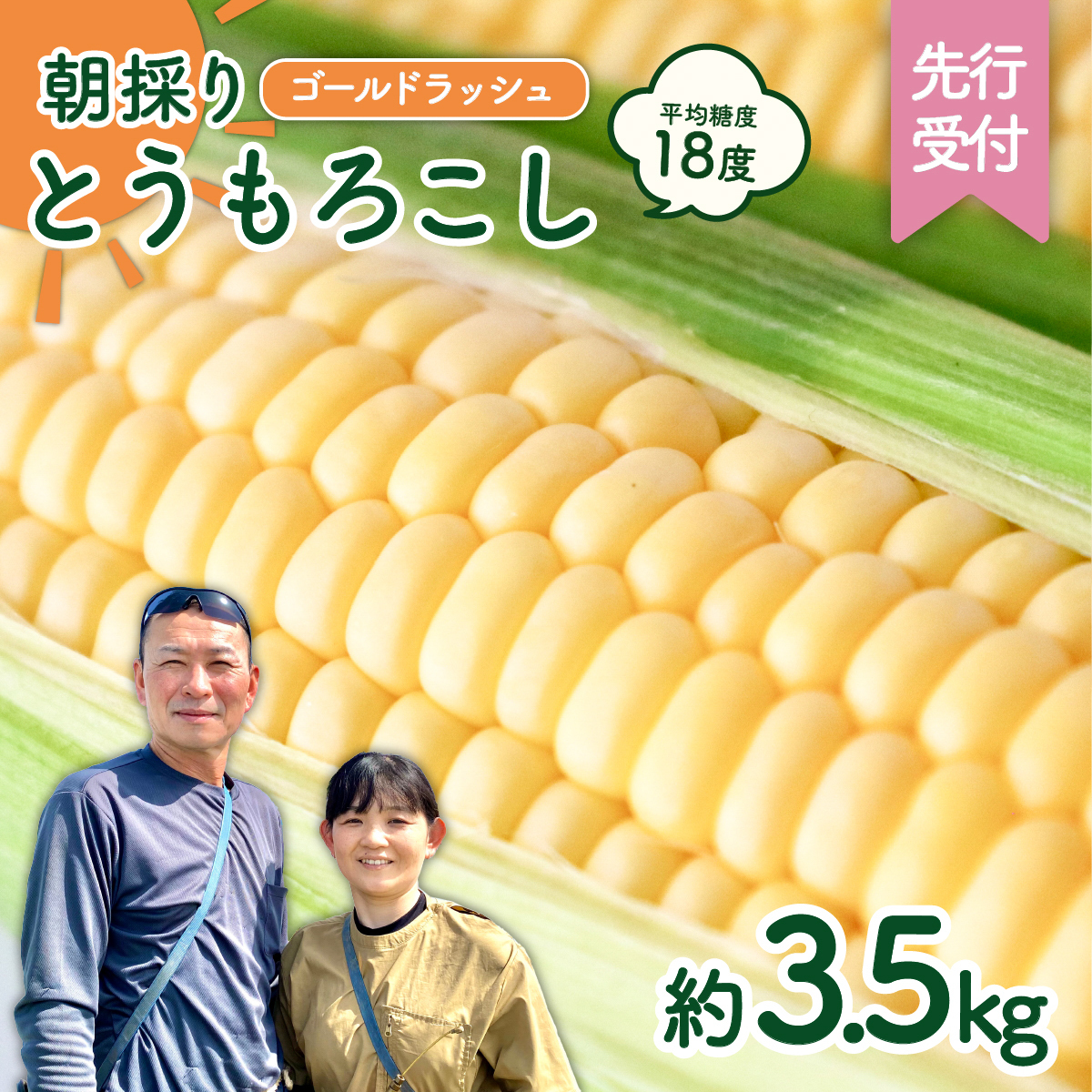 [先行予約 2026年6月下旬以降発送 ] [ 令和8年産 ] 朝採り とうもろこし ( ゴールドラッシュ ) 約 3.5kg トウモロコシ 朝採り 甘い 新鮮 スイートコーン コーン 野菜 極甘 岩田さん 2025 [AX058ya]