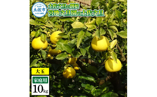 ymyszyȖnn {nU̓yU ƒp3L  10L 16`19 10kg Ԃ񂽂 u^ t[c k ݂ ʕ  k fU[g v[g Mtg