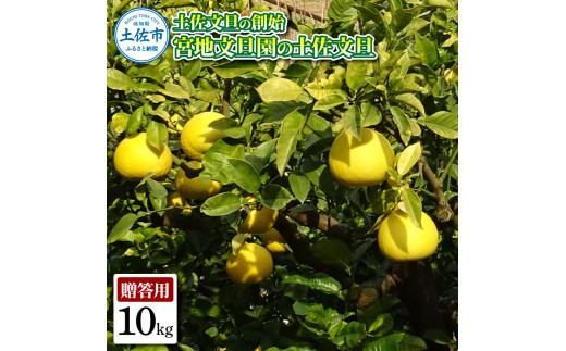 ymyszyȖnn {nU̓yU p2L 10L 20`22 10kg Ԃ񂽂 u^ t[c k ݂ ʕ  k fU[g v[g Mtg 蕨