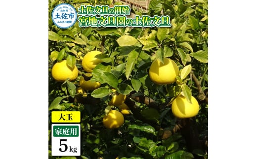 ymyszyȖnn {nU̓yU ƒp3L  5L 7`9 5kg Ԃ񂽂 u^ t[c k ݂ ʕ  k fU[g v[g Mtg 蕨