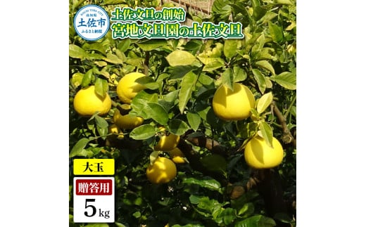 ymyszyȖnn {nU̓yU p3L  5L 7`9 5kg Ԃ񂽂 u^ t[c k ݂ ʕ  k fU[g v[g Mtg 蕨