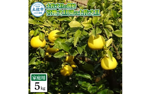 �y���m���y���s�z�y�����U�̑n�n �{�n���U���̓y�����U �ƒ�p2L ��5�L�� 10�`12���� 5kg