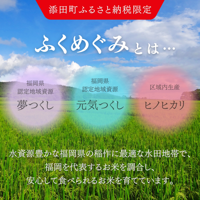 福岡県添田町のふるさと納税 福岡県産 訳あり ふくめぐみ 20kg 配送日時指定不可 30営業日以内に発送 [a5577] ※配送不可：離島【返礼品】添田町 ふるさと納税