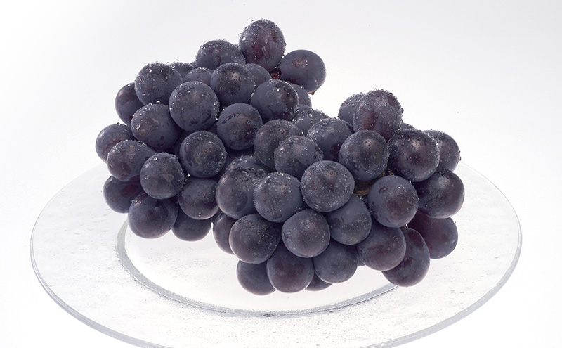 ぶどう 2026年 先行予約 シャインマスカット ＆ ニューピオーネ 各1房 約1.2kg ブドウ 葡萄 岡山県産 国産 フルーツ 果物 直送！せとうちバスケット