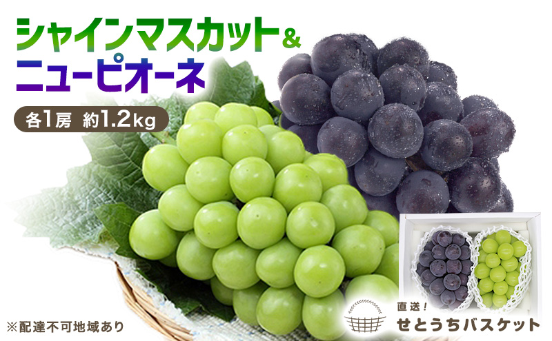 ぶどう 2026年 先行予約 シャインマスカット ＆ ニューピオーネ 各1房 約1.2kg ブドウ 葡萄 岡山県産 国産 フルーツ 果物 直送！せとうちバスケット