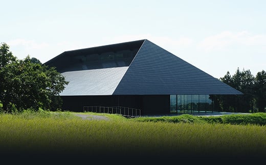 IWA 5 Assemblage 4 お歳暮 お中元 F6T-850