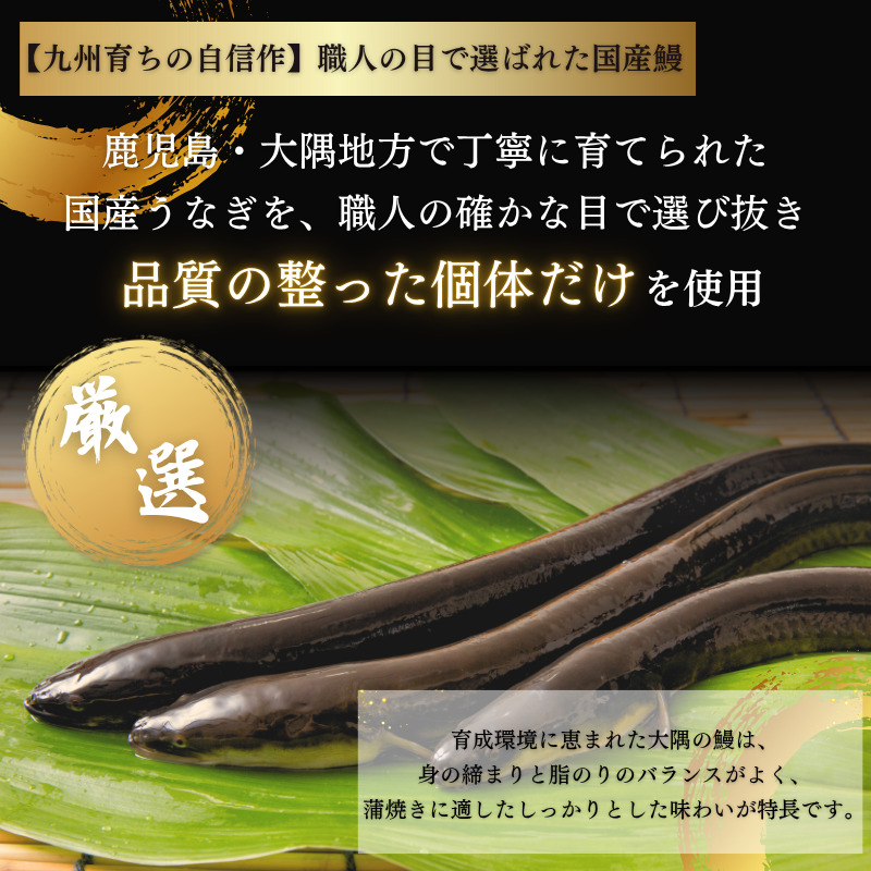 福岡県添田町のふるさと納税 きまぐれクック厳選 うなぎ 国産 3尾 (約600g) 九州産 手焼き 鰻 蒲焼き [a1000] 夏ギフト お中元 【返礼品】福岡県 添田町 ふるさと納税