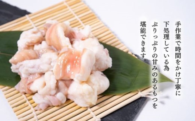 もつ鍋 老舗人気店 博多本格もつ鍋 セット 4～5人前×2セット (醤油味) ※配送不可：離島 鍋セット 冬 牛小腸 下処理 ぷりっぷり 甘み 昆布だし かつおだし 温まる お鍋 牛もつ鍋