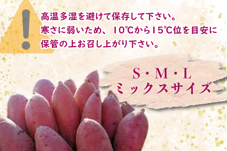【2026年2月中旬より順次発送】野原さんちのさつまいも 紅まさり 約10kg｜芋 さつまいも サツマイモ お芋 いも 紅まさり 期間限定 先行予約 茨城県 行方市(EL-2)