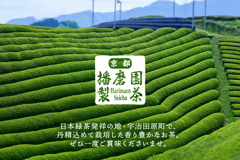 有機宇治茶プレミアムセット 〈 有機 オーガニック 無農薬 煎茶
