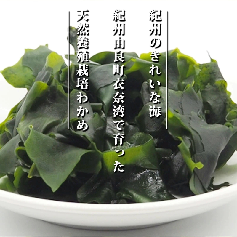 BB6228_紀州衣奈産 乾燥 わかめ 150g × 4 パック （2026年産）