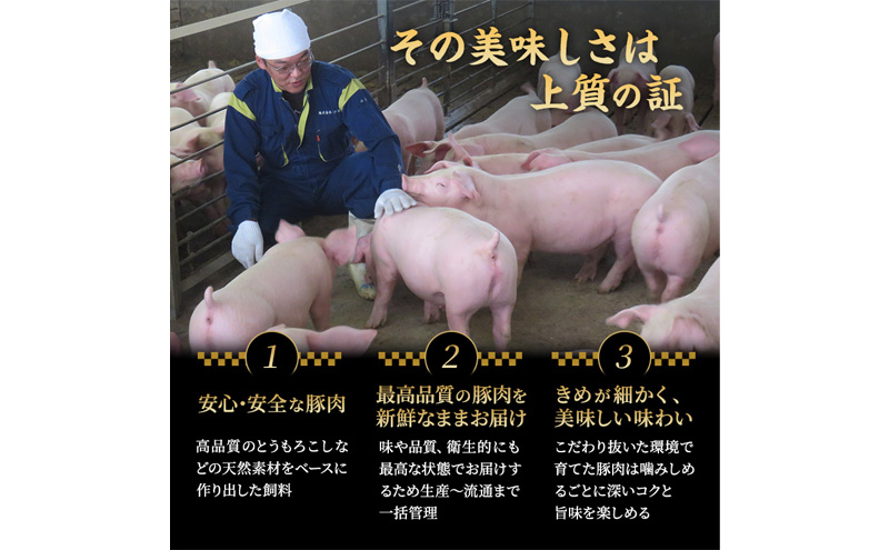 和豚もちぶたのキーマカレー×2個 肩ロースの炊き込みごはんの素(2合用)×2個 オリジナル 和豚 もち豚 豚肉 ポーク レトルト レトルトカレー レトルト食品 カレー お肉 肉 豚 ぶた ブタ 加工品 加工食品 惣菜 保存食 非常食 防災