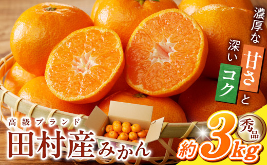 【和歌山県有田郡湯浅町】G7339_高級ブランド 秀品 紀州有田田村産みかん 3kg 濃厚 糖度 酸味 バランス 甘さ コク 国産 みかん 有田みかん フルーツ 果物 果実 デザート おやつ お取り寄せ お取り寄せフルーツ 和歌山県 湯浅町 送料無料