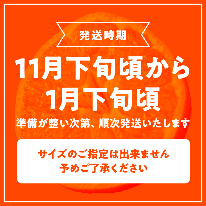 G7339_高級ブランド 秀品 紀州有田田村産みかん 3kg 濃厚 糖度 酸味 バランス 甘さ コク 国産 みかん 有田みかん フルーツ 果物 果実 デザート おやつ お取り寄せ お取り寄せフルーツ 和歌山県 湯浅町 送料無料