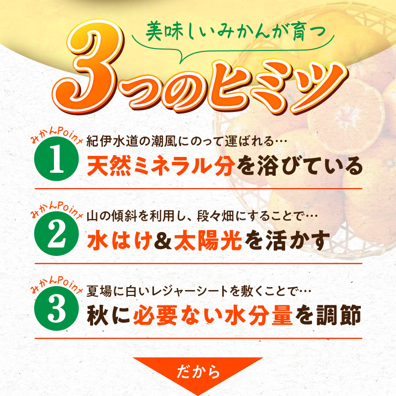 G7339_高級ブランド 秀品 紀州有田田村産みかん 3kg 濃厚 糖度 酸味 バランス 甘さ コク 国産 みかん 有田みかん フルーツ 果物 果実 デザート おやつ お取り寄せ お取り寄せフルーツ 和歌山県 湯浅町 送料無料