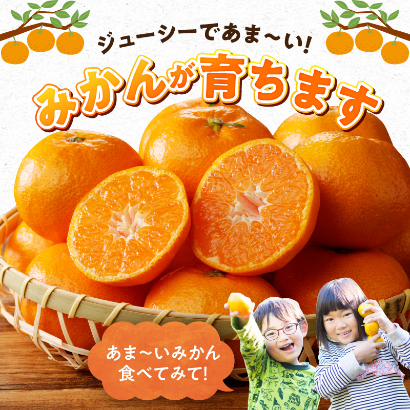 G7339_高級ブランド 秀品 紀州有田田村産みかん 3kg 濃厚 糖度 酸味 バランス 甘さ コク 国産 みかん 有田みかん フルーツ 果物 果実 デザート おやつ お取り寄せ お取り寄せフルーツ 和歌山県 湯浅町 送料無料