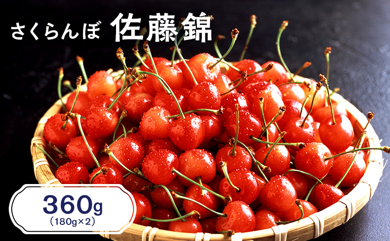 ykCmؒzst kC mؒY   360gi180g×2pbNj  TN{ `F[ t[c ʕ ʕ  mؒ m [JAV]