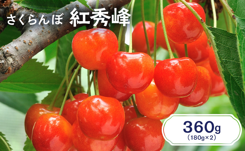 ykCmؒzst kC mؒY  gG 360gi180g×2pbNj TN{ `F[ t[c ʕ ʕ  mؒ m [JAV]