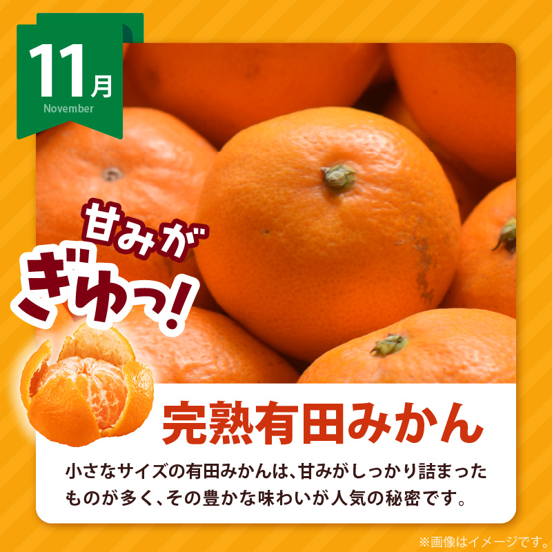 AB61-T09_【定期便4回】 旬 カンキツ 定期便 S 訳あり 家庭用 青切り有田みかん 完熟有田みかん 清見オレンジ カラマンダリン みかん オレンジ 新鮮 甘酸っぱい 甘み 酸味 バランス 濃厚 ノーワックス お取り寄せ お取り寄せフルーツ 和歌山県 湯浅町 送料無料 