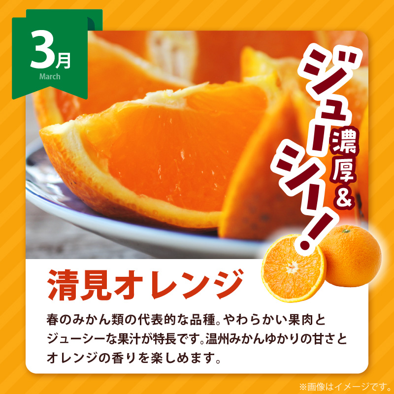 AB61-T09_【定期便4回】 旬 カンキツ 定期便 S 訳あり 家庭用 青切り有田みかん 完熟有田みかん 清見オレンジ カラマンダリン みかん オレンジ 新鮮 甘酸っぱい 甘み 酸味 バランス 濃厚 ノーワックス お取り寄せ お取り寄せフルーツ 和歌山県 湯浅町 送料無料 
