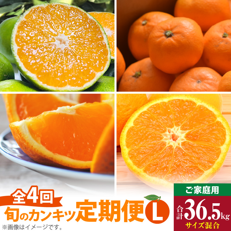AB61-T11_【定期便4回】 旬 カンキツ 定期便 L 訳あり 家庭用 青切り有田みかん 完熟有田みかん 清見オレンジ カラマンダリン みかん オレンジ 新鮮 甘酸っぱい 甘み 酸味 バランス 濃厚 ノーワックス お取り寄せ お取り寄せフルーツ 和歌山県 湯浅町 送料無料 